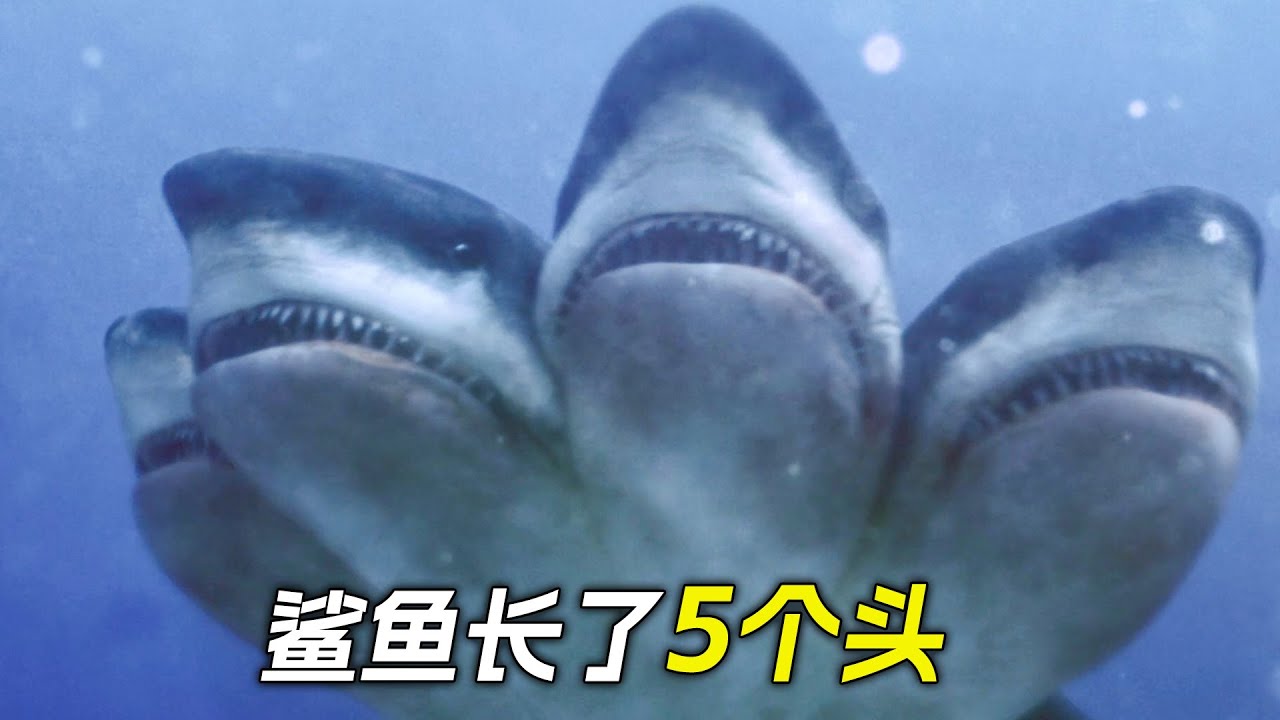 鯊魚長出了二三四五六個頭，瘋狂地攻擊人類，科幻，奇幻，電影，解說，獵奇，懸疑，冒險，鯊魚