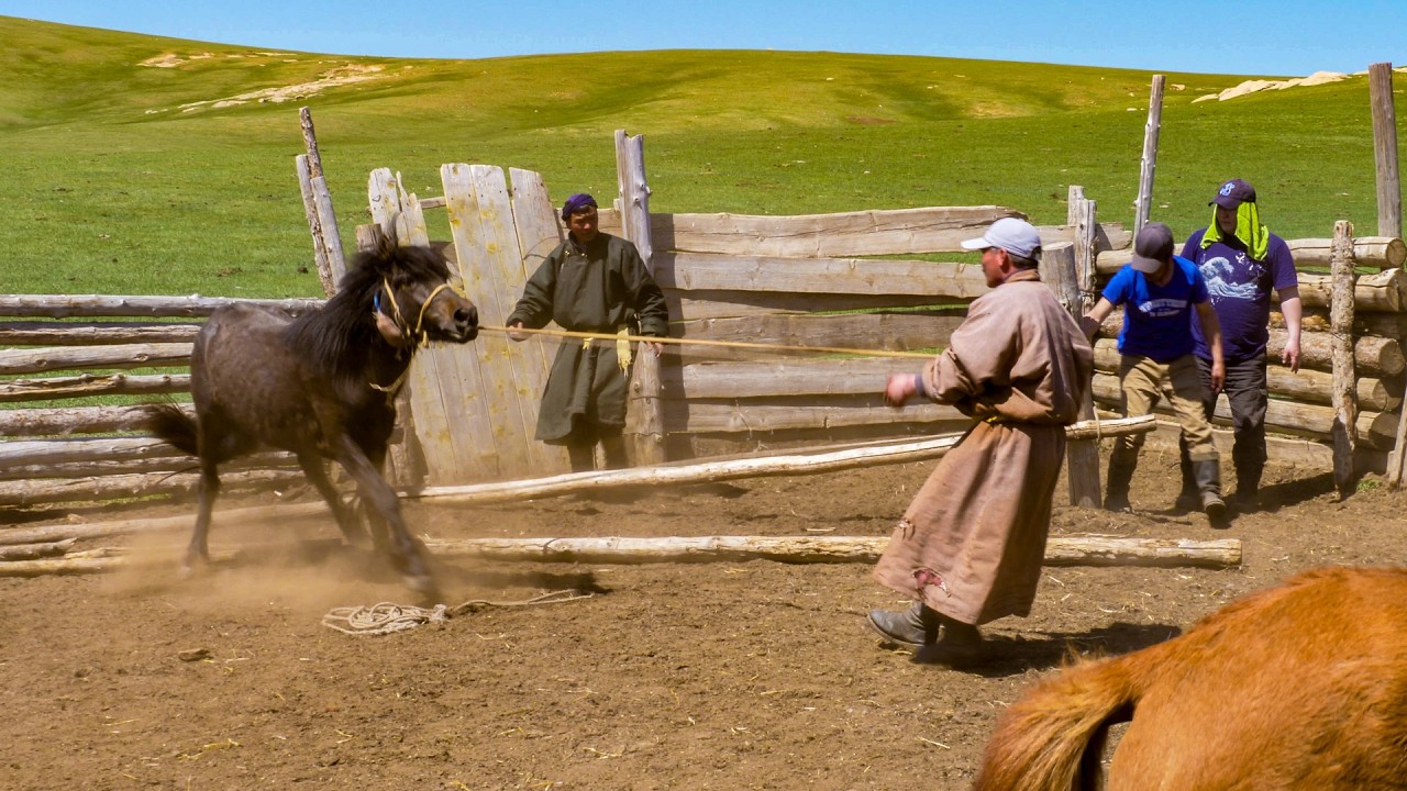 Spring in Mongolia: A Story of Life with 3 Nomad Families 🐎 