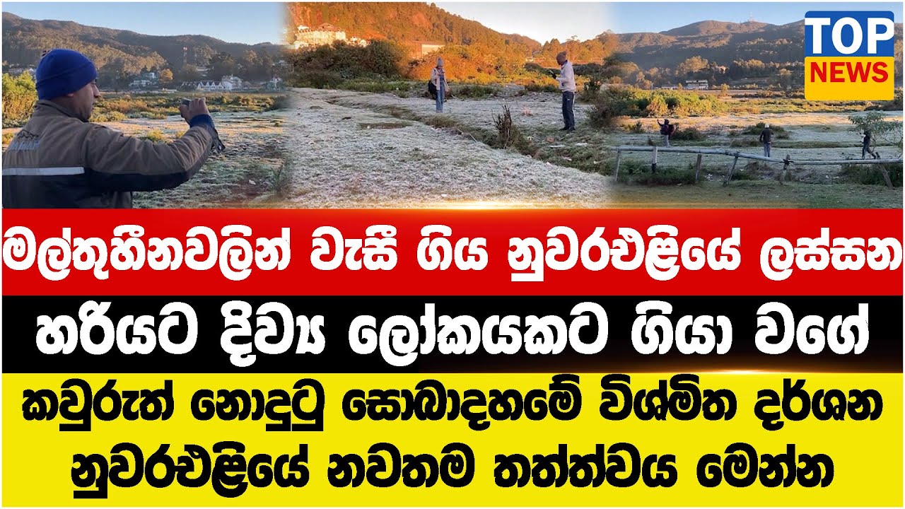 මල් තුහීනවලින් වැසී ගිය නුවරඑළියේ ලස්සන - හරියට දිව්‍ය ලෝකයකට ගියා වගේ
