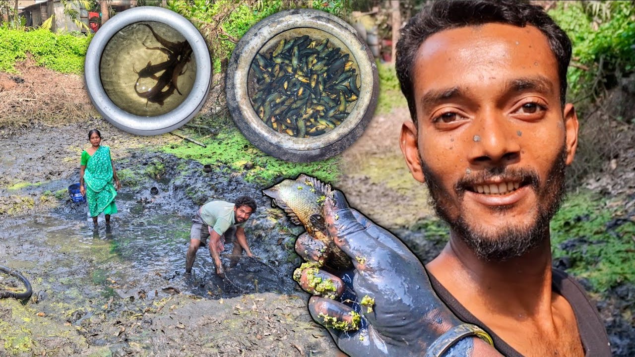 বন্ধুর বাড়ির পুকুর শুকিয়ে আজকে প্রচুর পরিমাণে জিয়োল মাছ পেলাম! 😲 | Village Life Vlog