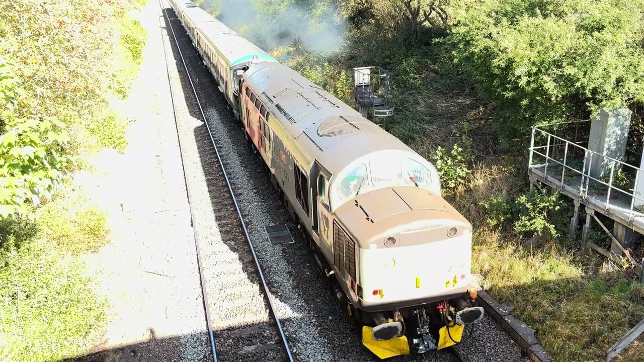 Diesel locomotive epic 66788 66105 66797 66304 37510 730202 66604 