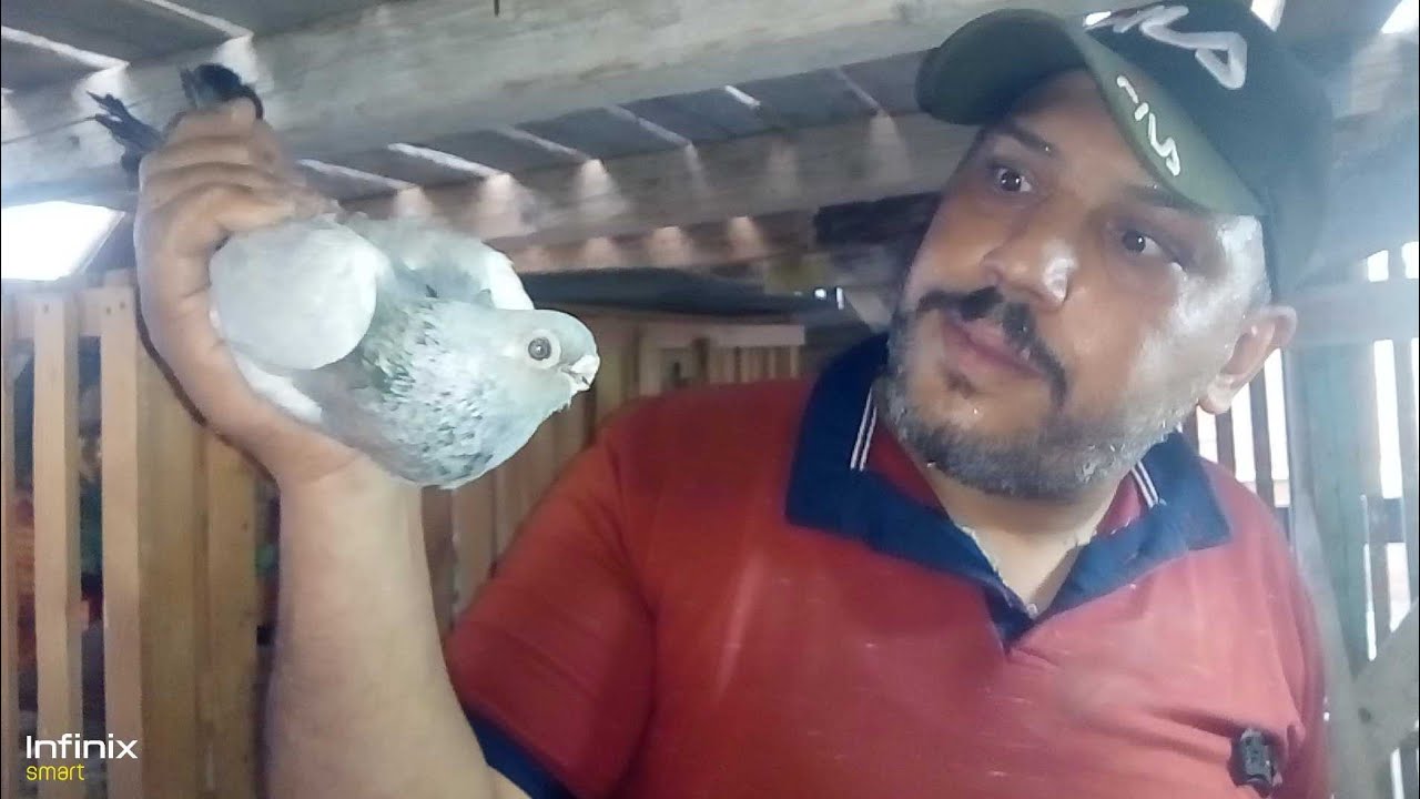 #فرجت_حمام رضا الحجر اطيب واحدفى مصر 🇪🇬كلام #على_مسؤليته