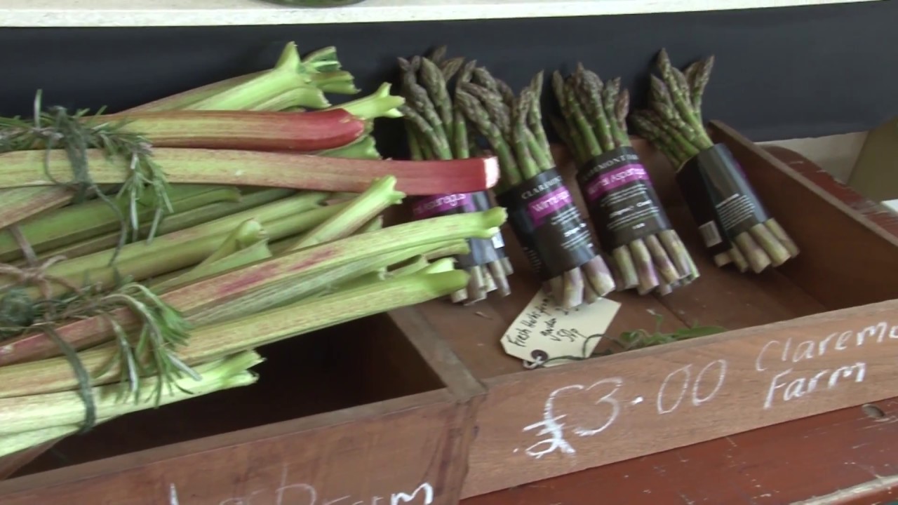Squash Nutrition in Liverpool open new vegetarian cafe