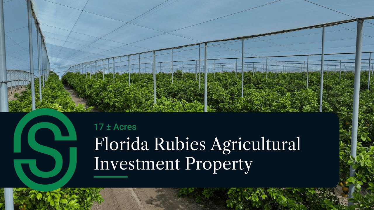 Florida Rubies Agricultural Investment Property • 17± Acres CUPS Citrus Farm in Bartow, Florida