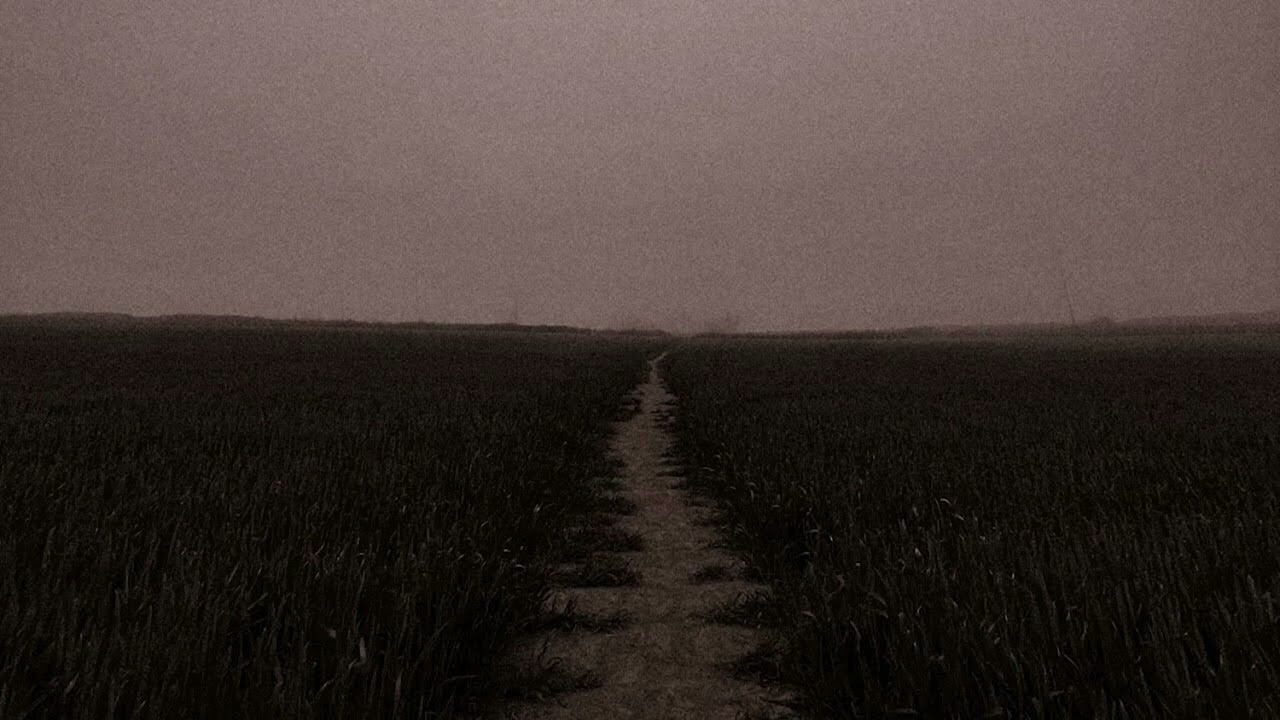 somewhere in between the lines i lost you.