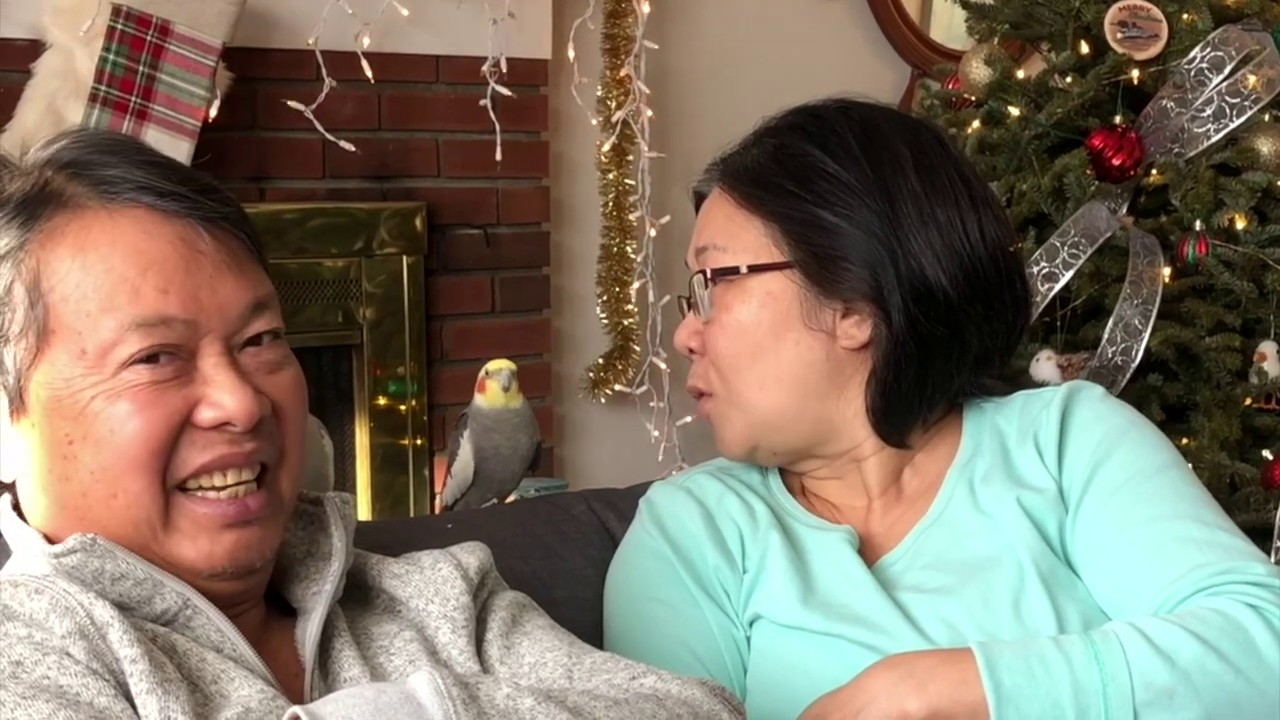 The Birds Meet My Parents! 🐦🎄