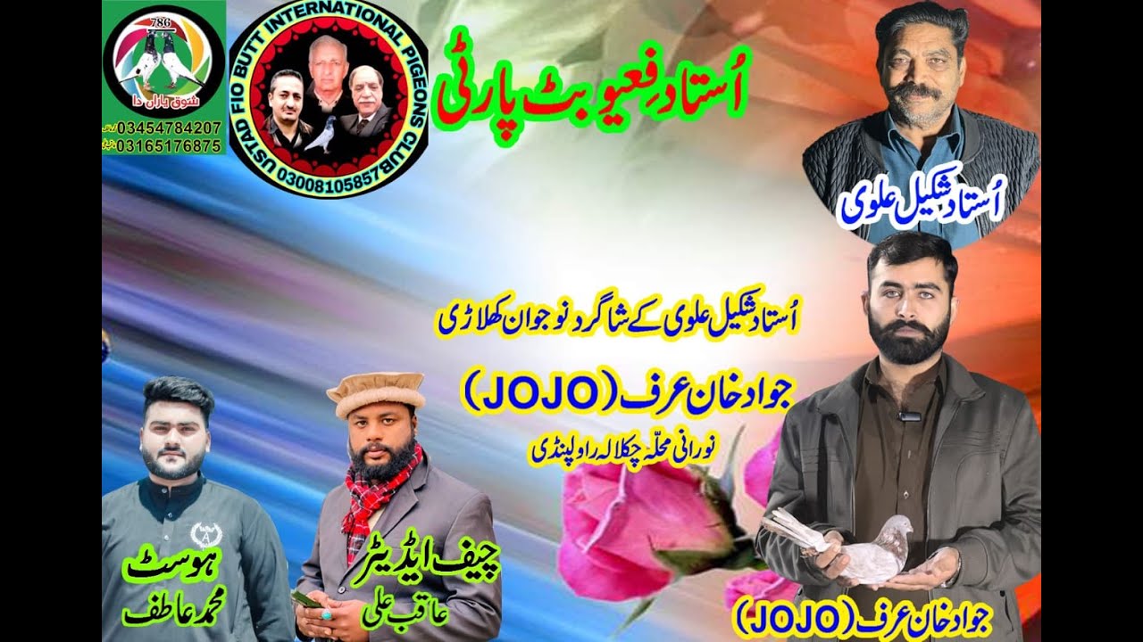 Jawad khan (jojo) |fio butt party| Shahgerd of Ustad shakeel avli #kabotar #pigeon #fypシ゚viral
