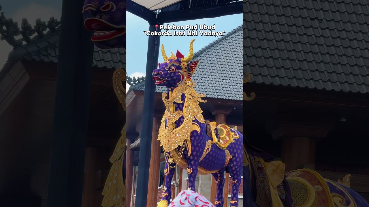 Dateng ke Acara Ngaben Termegah di Bali - Ubud #puriubud #ngabenbali