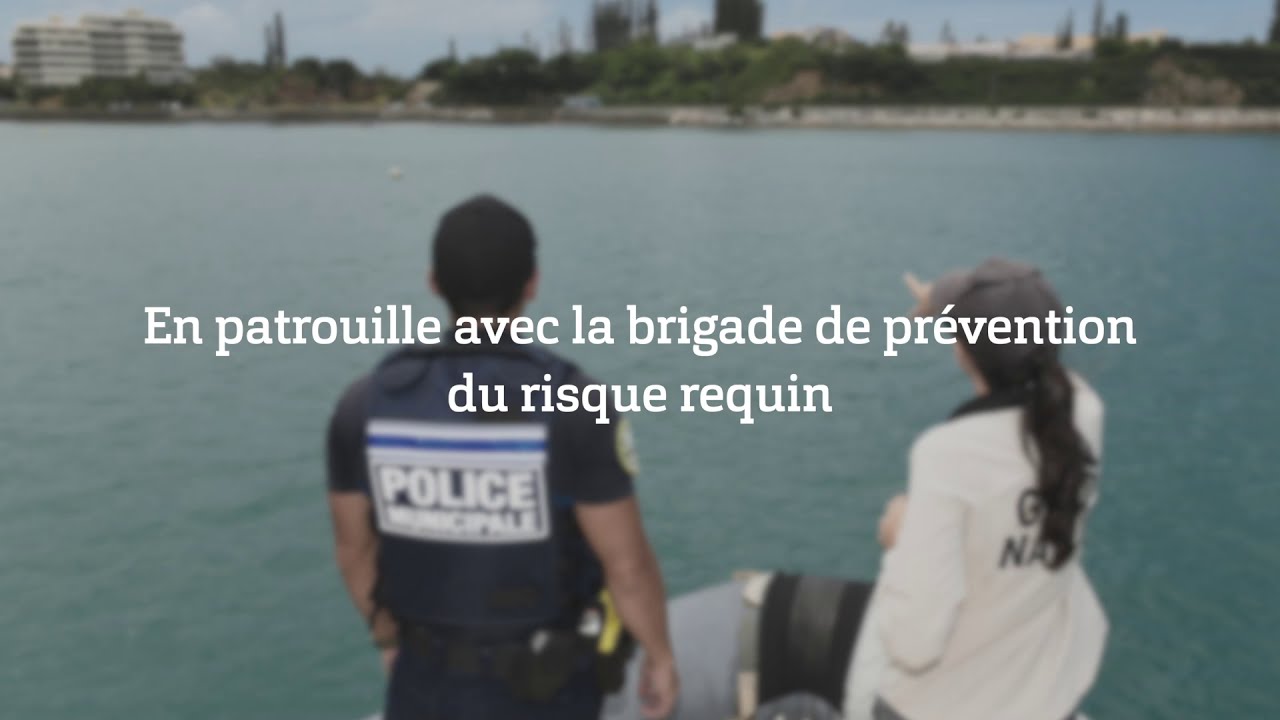 Avec la brigade pr&eacute;vention du risque requin