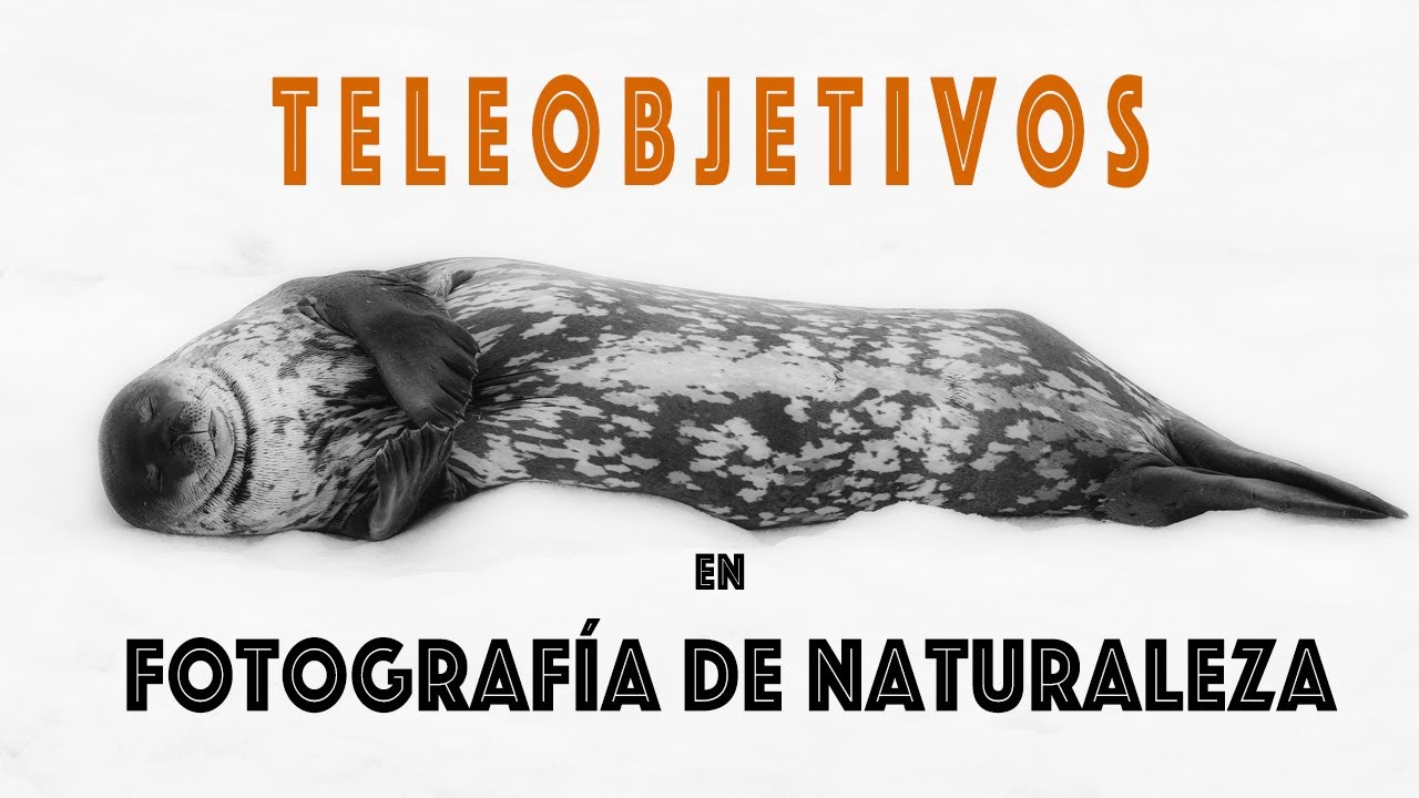 Teleobjetivos en fotografía de Naturaleza