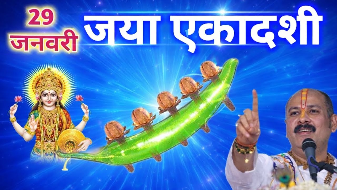 29 जनवरी जया एकादशी व्रत को पांच लौंग और एक हरी मिर्ची वाला उपाय जरूर करें! Pradeepmishra upay 2026