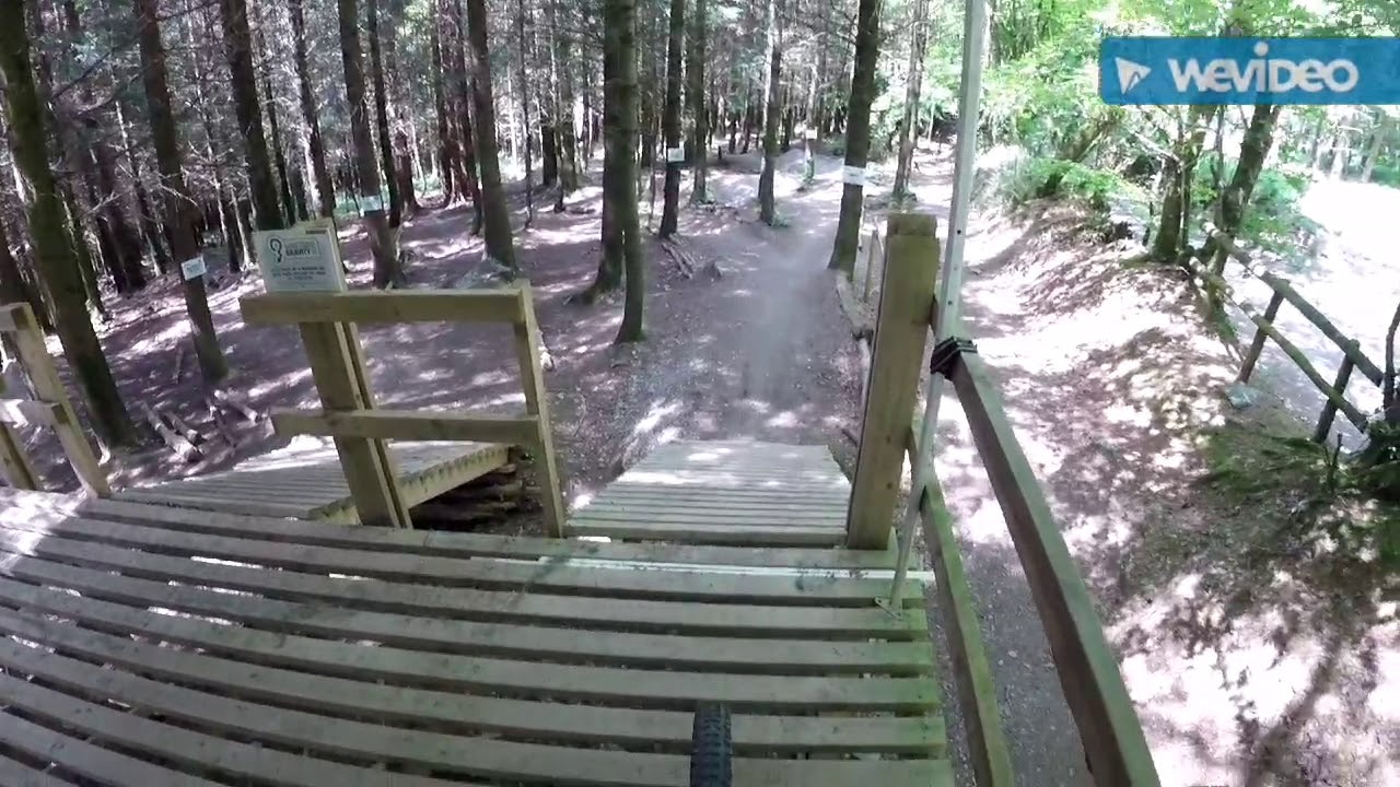Jay Williamson - Gawton Gravity hub: Proper Job track .