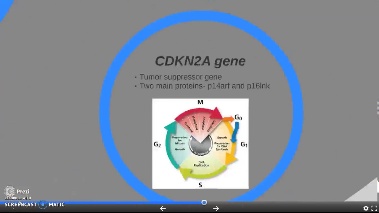 Inherited melanoma, CDKN2A mutation