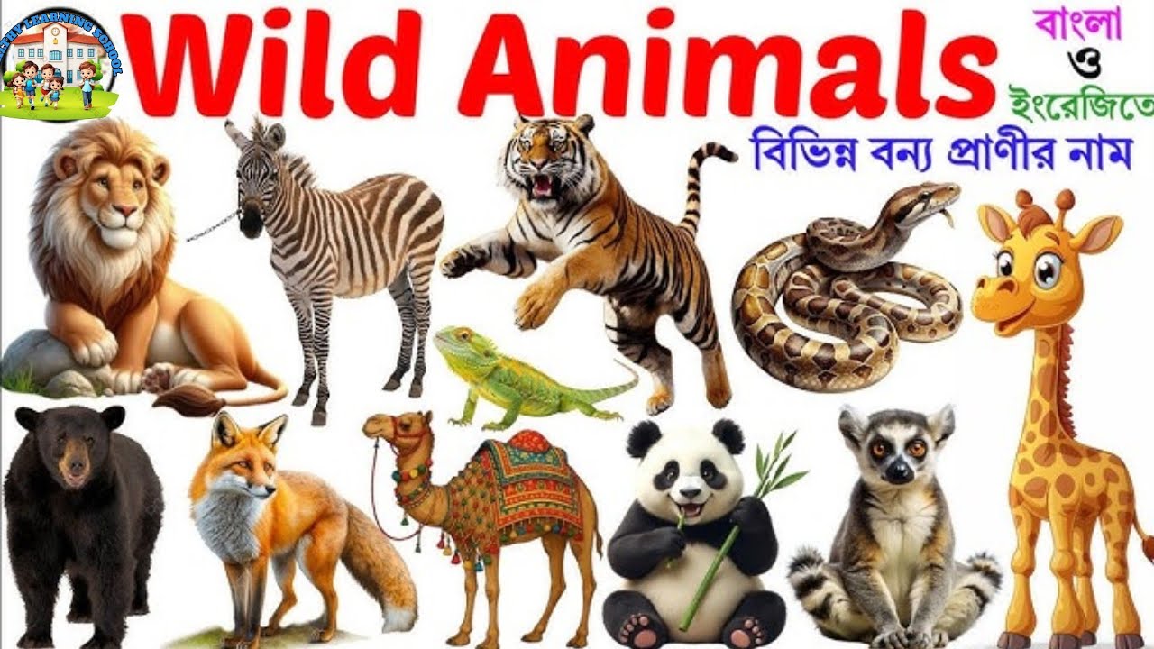 Animals Name 🐯🐕| Animals Name in Bengali to English With Pictures | Animals Name for Kids | Animals
