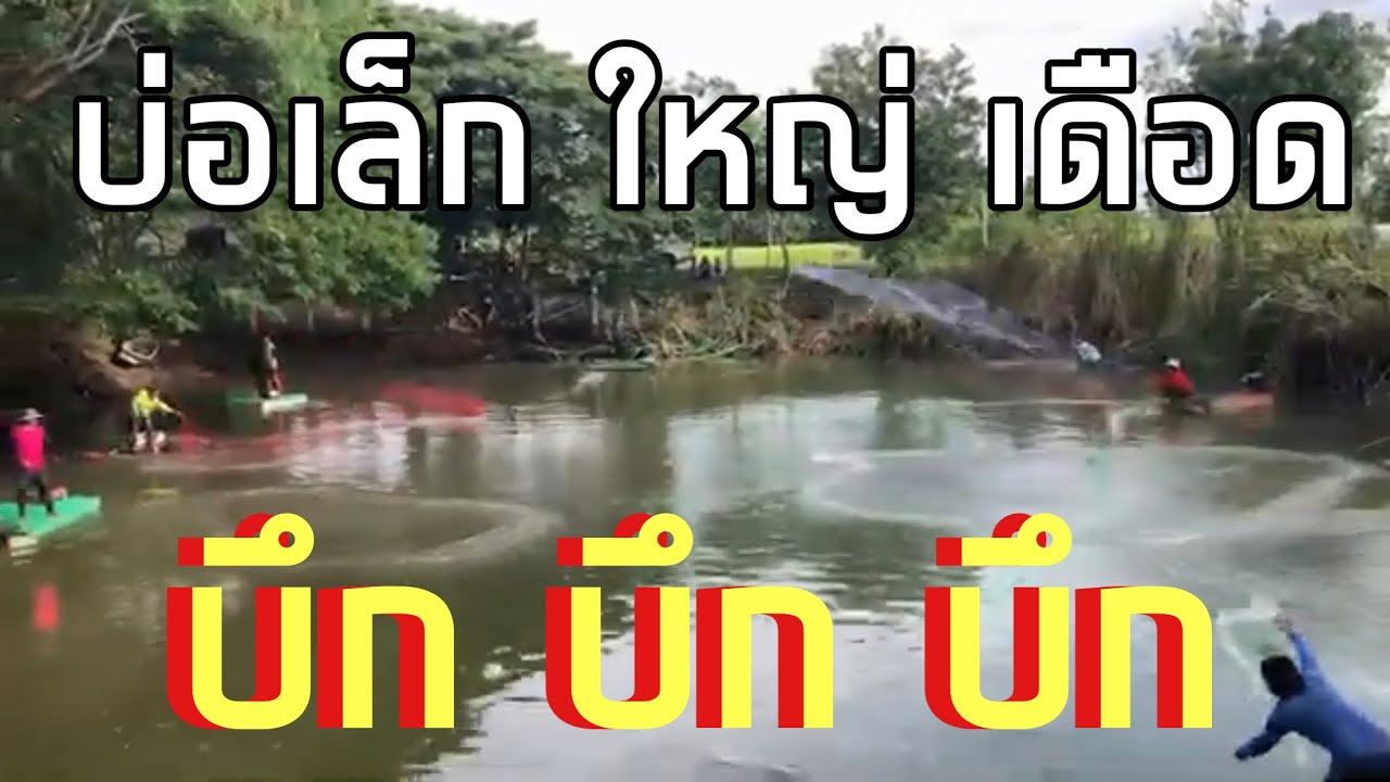 24 กุมภาพันธ์ 2569#บึกใหญ่ เดือด เกินคาด สะเทือนทั้งบ่อ บัตร1800/10เซียน ลุ้น เทคแรก กัน