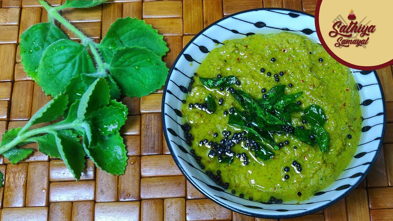 கற்பூரவள்ளி சட்னி | Karpooravalli Chutney in Tamil | Omavalli Chutney | Ajwain Leaves Chutney