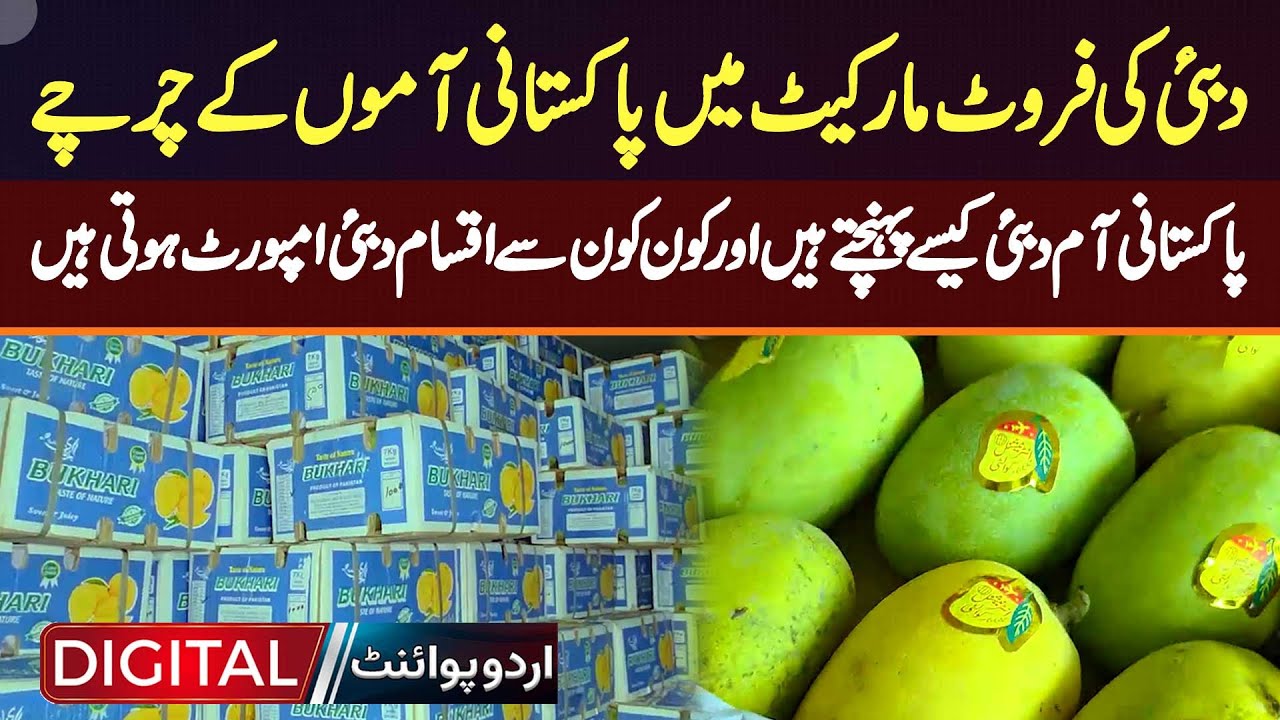 Huge Demand Of Pakistani Mangoes In Dubai Fruit Market - How Do Pakistani Mangoes Reach Dubai?