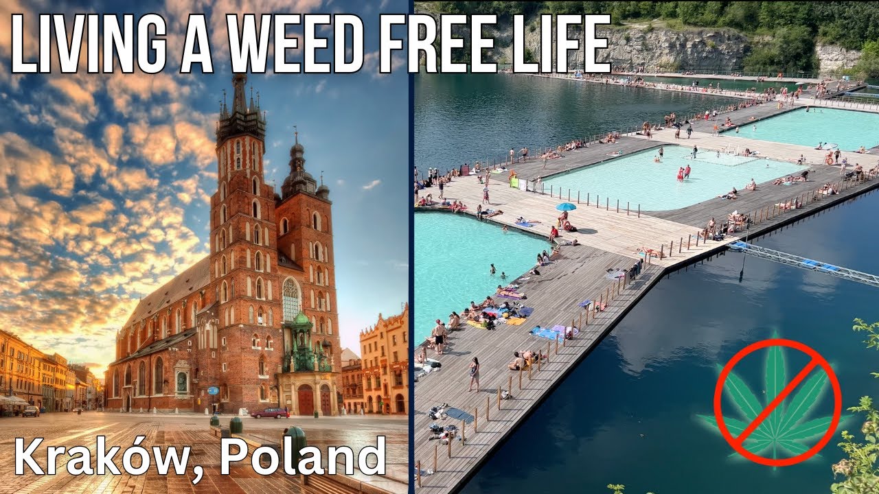 Living A WEED Free Life | Krak&oacute;w, Poland