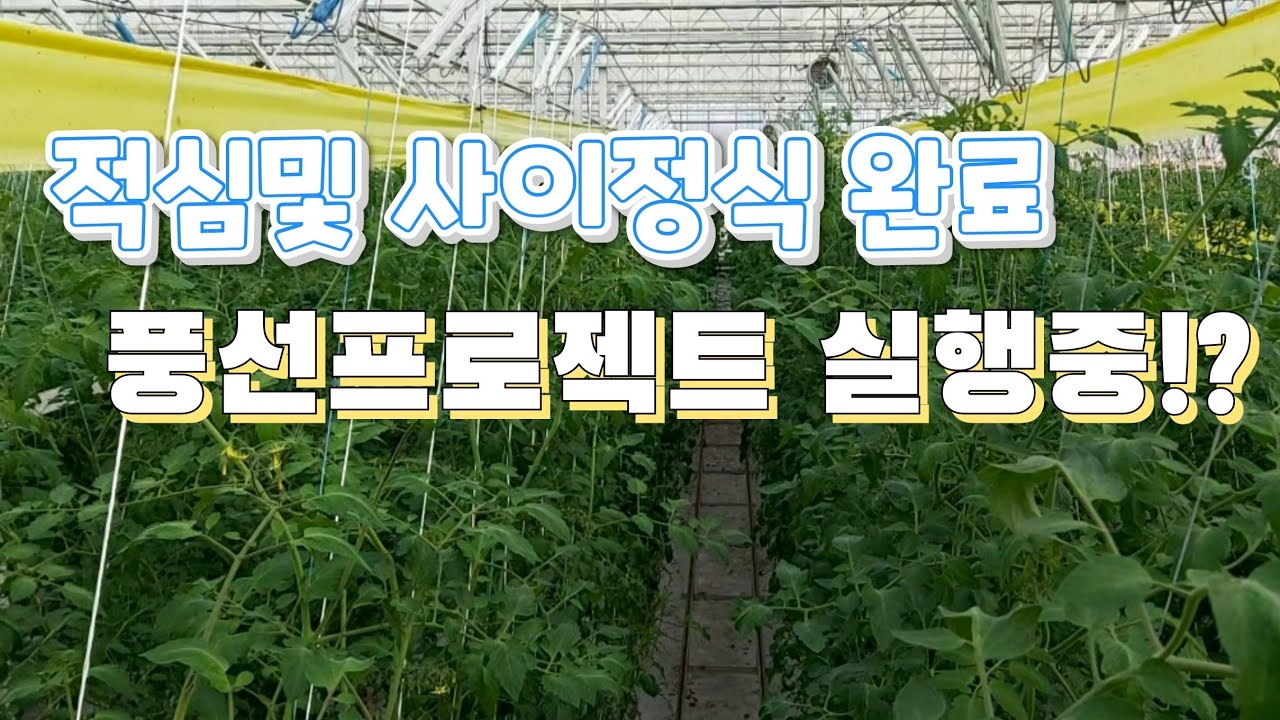 스마트팜 달향 인터플랜팅 완료!