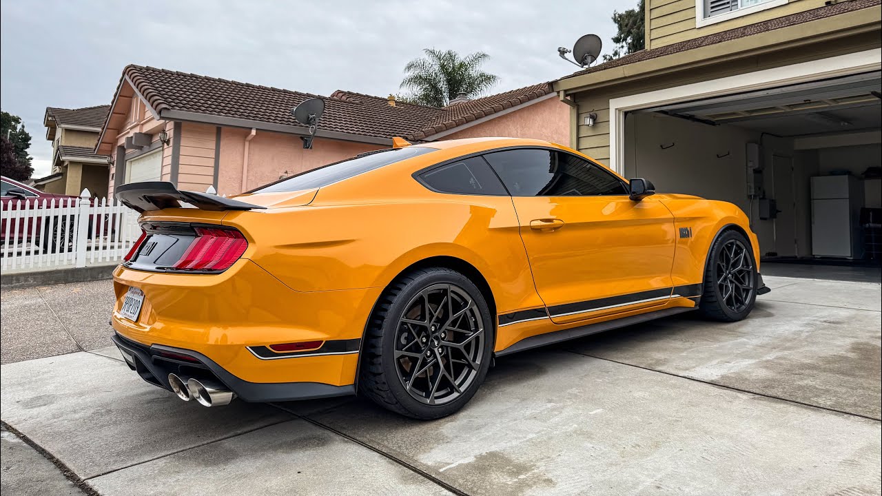 Why i chose a Mach 1 over a GT and S650