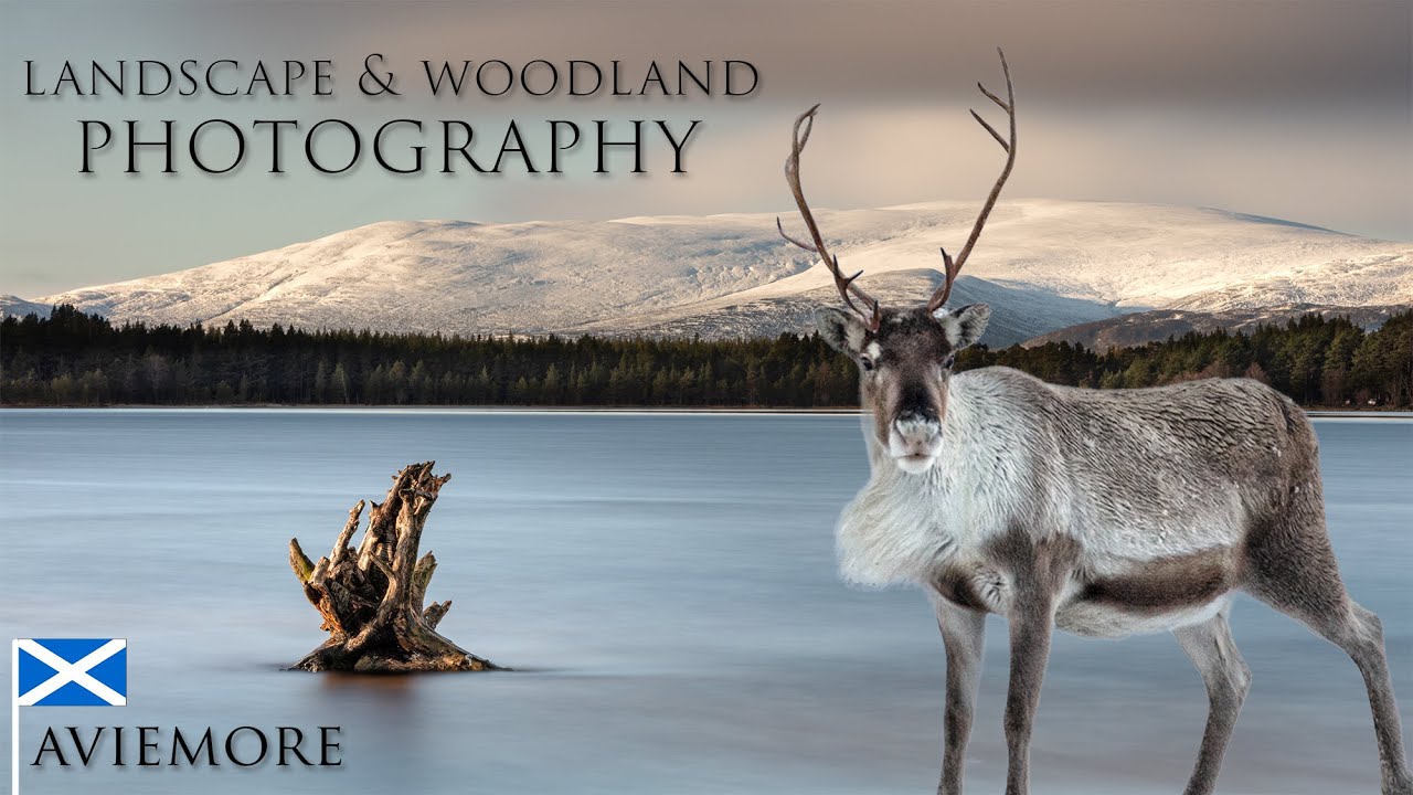 Landscape + Woodland Photography Aviemore