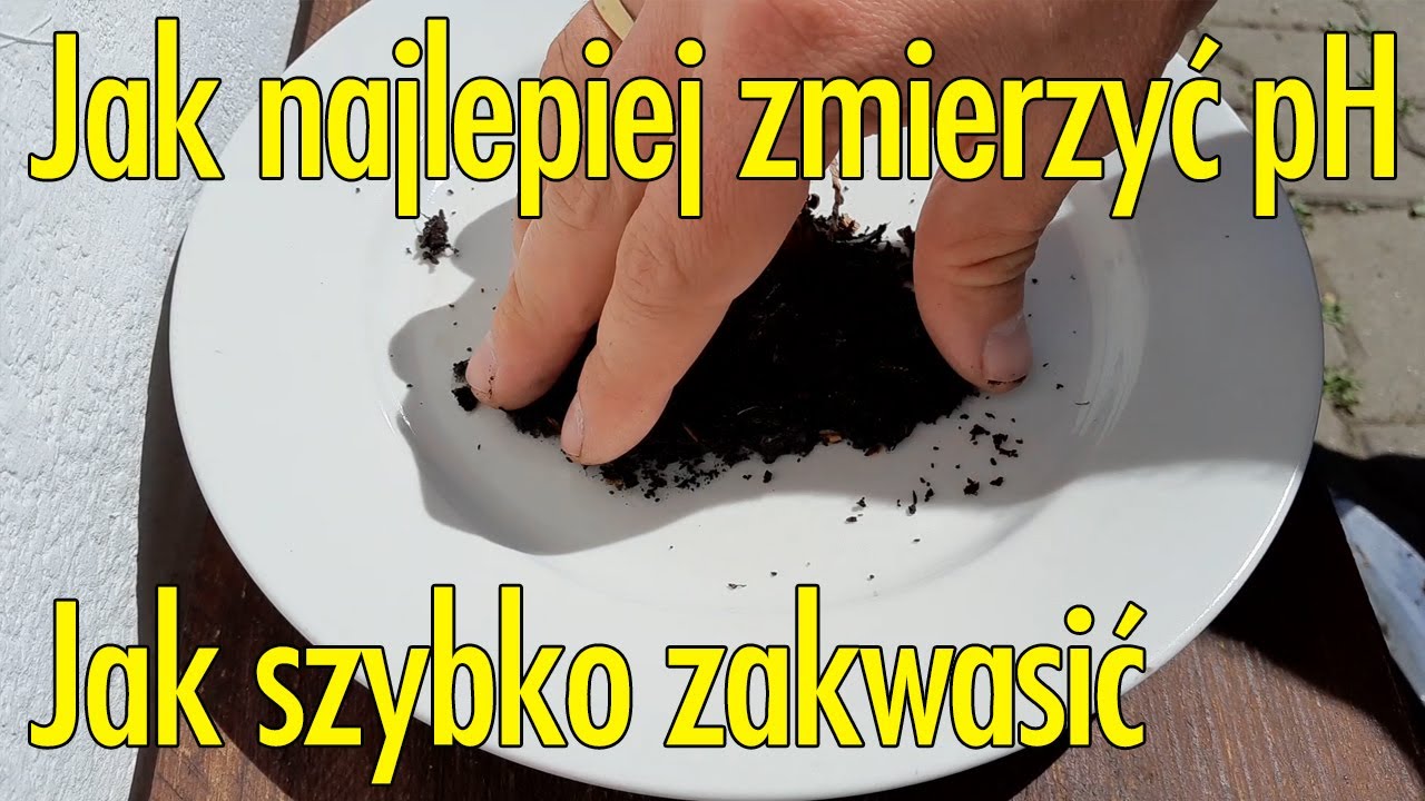 jak najprościej zmierzyć odczyn pH gleby, jak zakwasić podłoże pod bor&oacute;wki, rododendrony, wrzosy