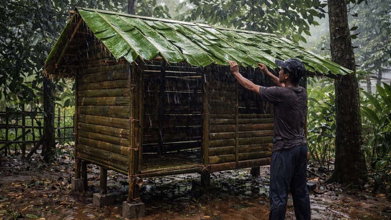 24 Hours Building a Jungle Shelter in the Rain