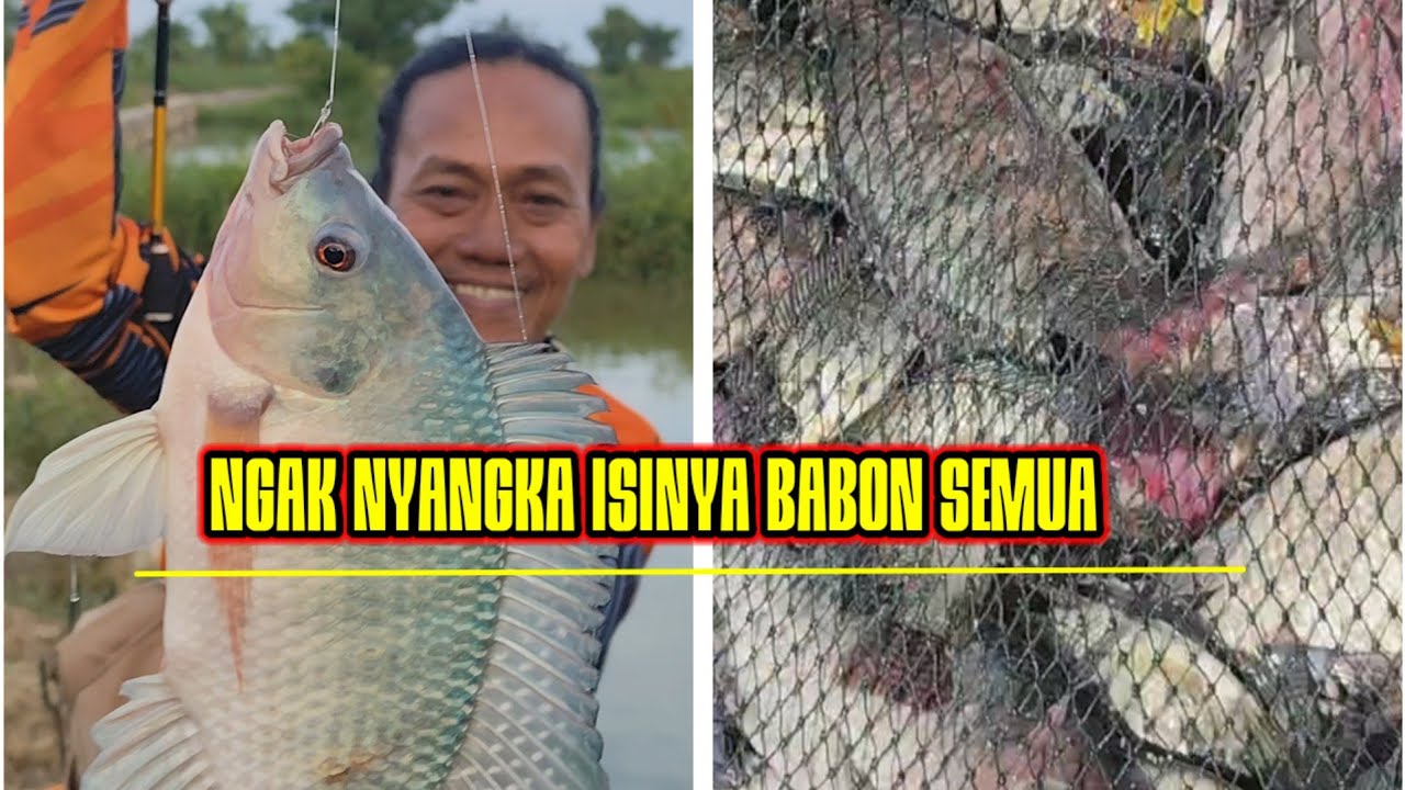 Tak Nyangka di Spot Ini Isinya Babon Semua Hingga Menghasilkan 40 Kg