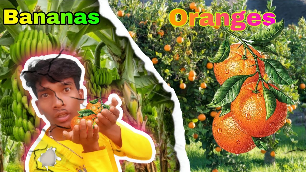 नींबू और केला: Aapka Roj Ka Super Foot Double Dhamaka: Orange Banana: New Santali Vlog Video 2026 