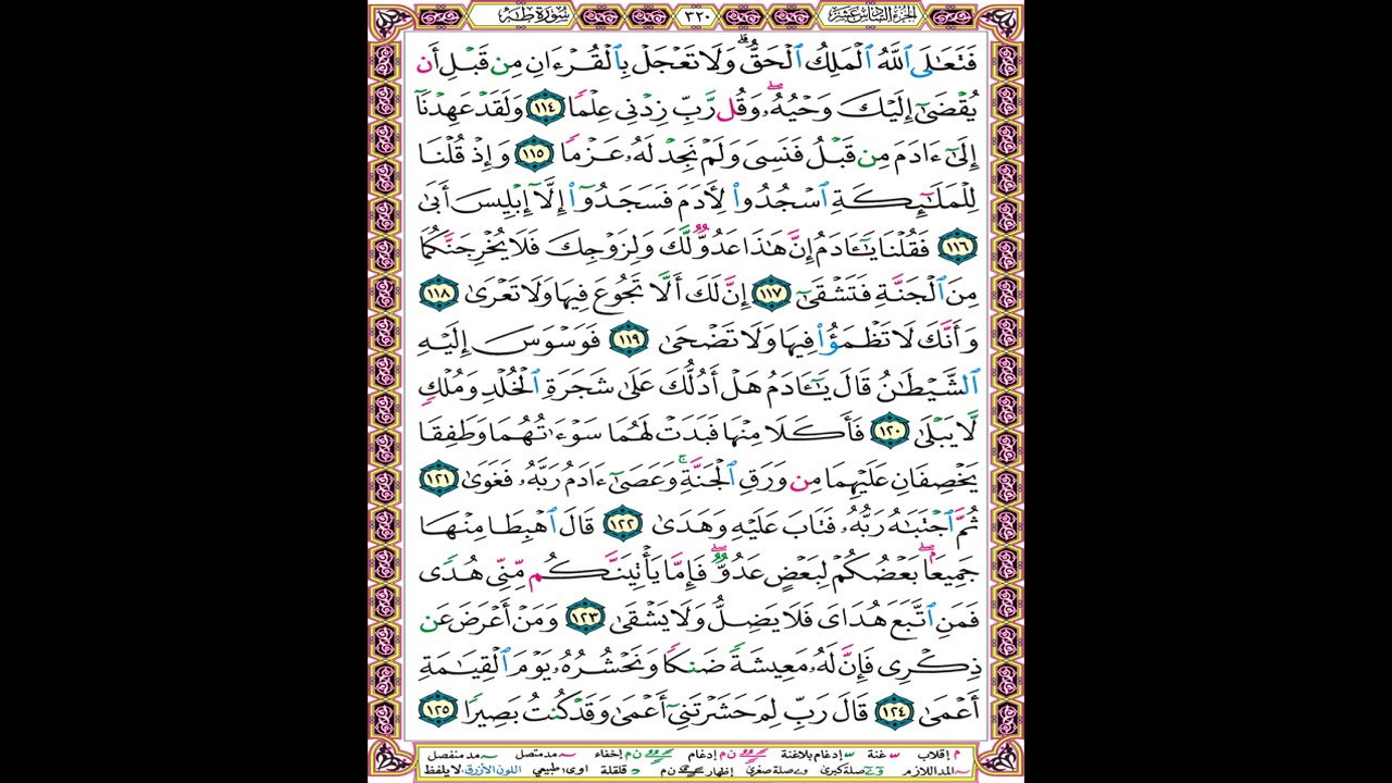 صفحة 320 من المصحف المعلم المرئي المسموع بصوت الشيخ محمود الحصري