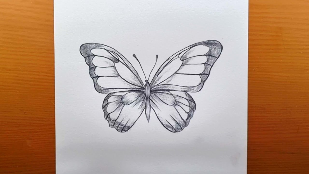 Come disegnare una bellissima farfalla passo dopo passo a carboncino - Guida al disegno tutorial