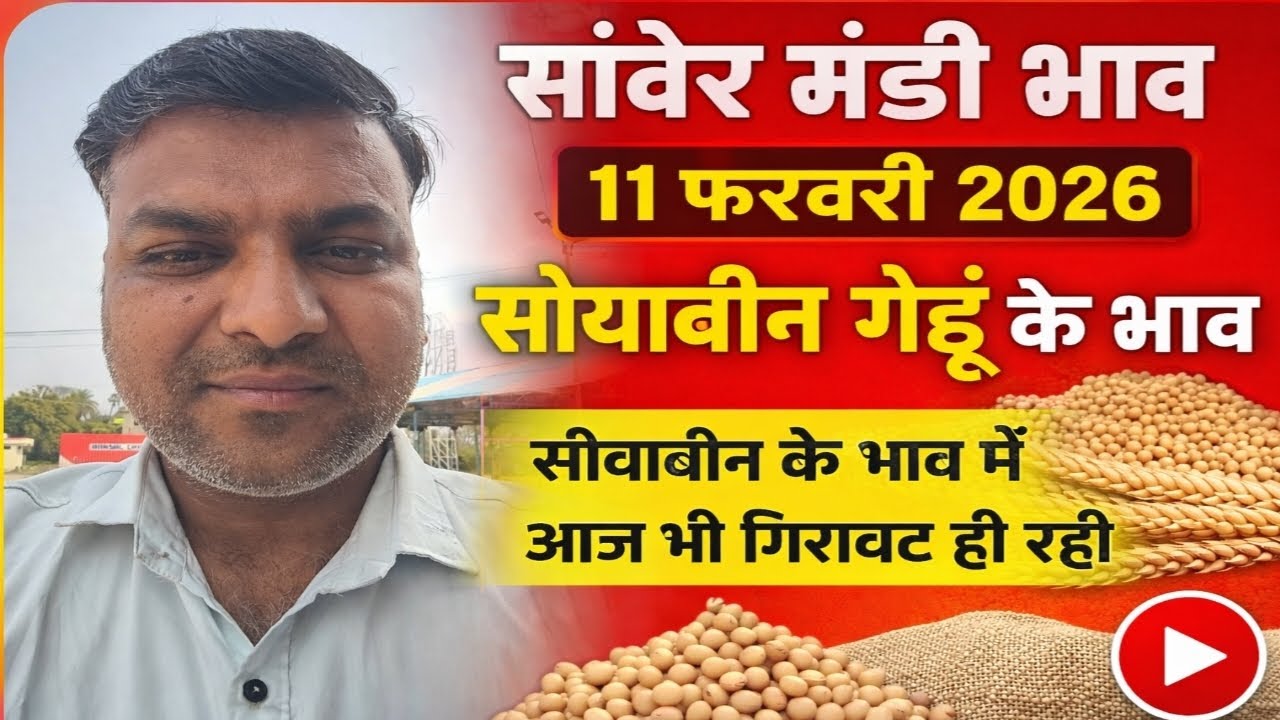 सांवेर मंडी भाव😭😭😭😭#11 फरवरी 2026 #सोयाबीन गेहूं के भाव # भाव में गिरावट #देवास मंडी#इंदौर मंडी भाव 