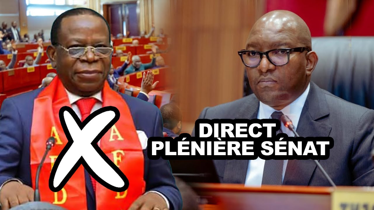 DIRECT / S&Eacute;NAT PL&Eacute;NI&Egrave;RE S&Eacute;NAT : LECTURE DE LA P&Eacute;TITION CONTRE LE PR&Eacute;SIDENT BAHATI LUKWEBO !