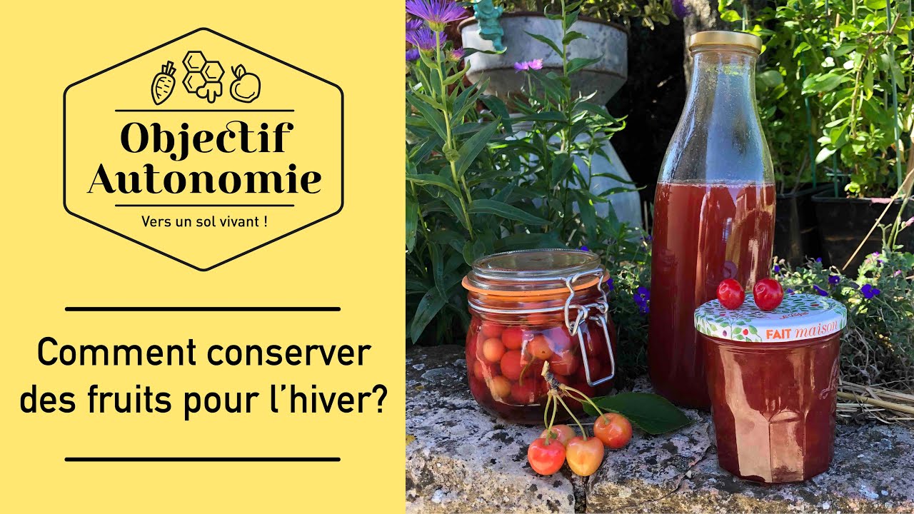3 méthodes de conservation: des cerises toute l'année !