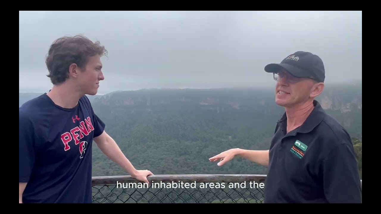 The Blue Mountains