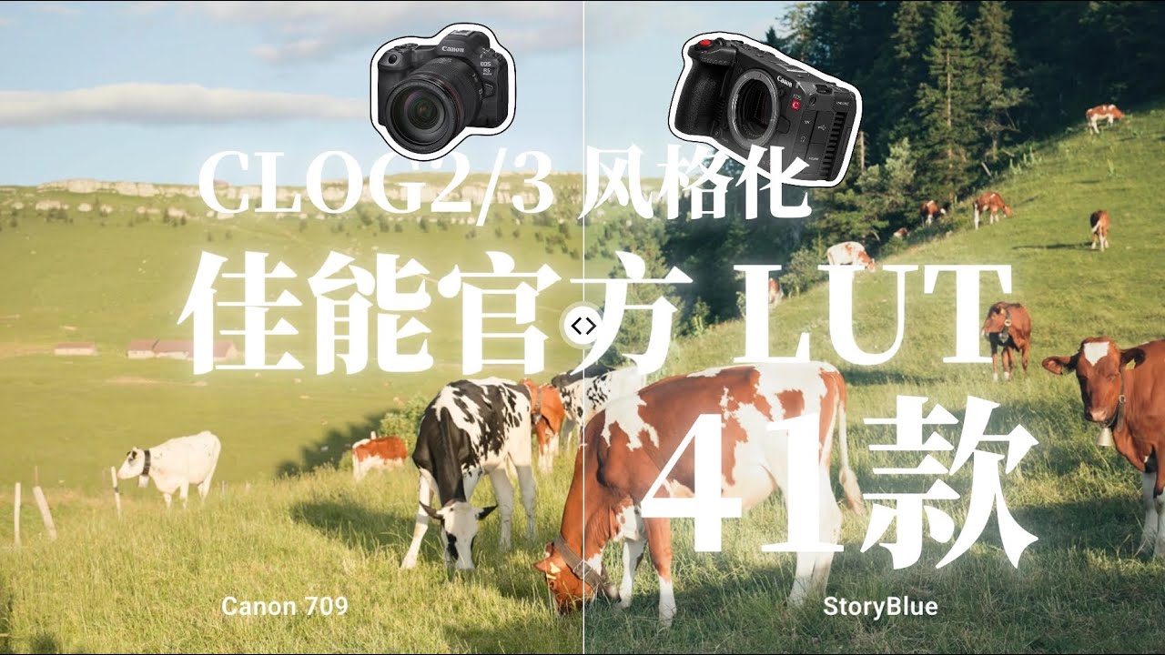 佳能视频用户福音!佳能官方风格化lut来啦 clog2/3通用