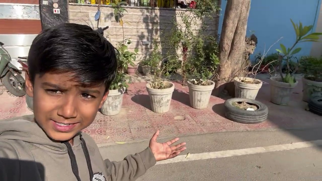 My garden small vlog 