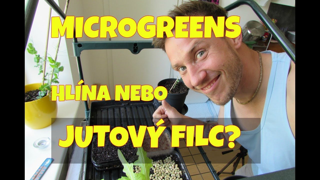 Microgreens hlína vs jutový filc, v čem to poroste líp? (Díl.1Výsev)