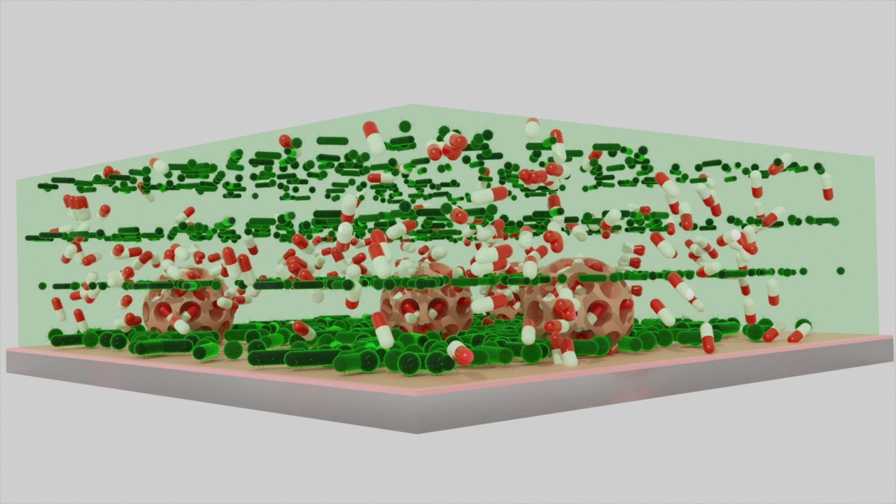 Silica Nanoparticles as Drug Delivery Systems