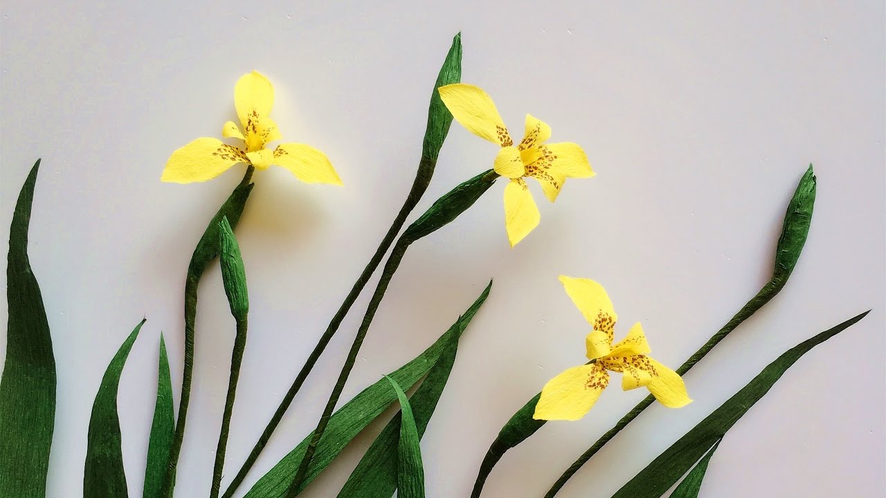 ABC TV |Как сделать желтый Walking Iris бумажный цветок из бумаги Crepe - Craft Tutorial