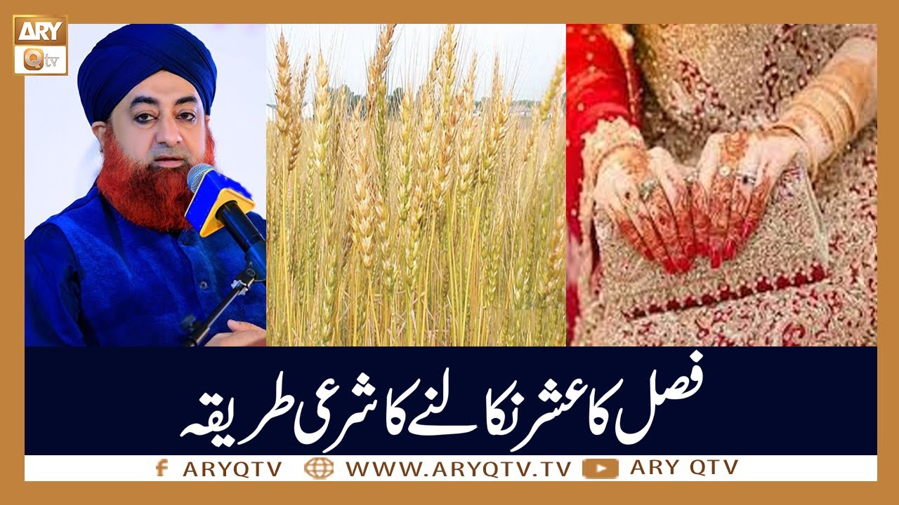 Fasal Ka Usher Nikalne Ka Sheri Treeqa | Islamic Information | Mufti Akmal | ARY Qtv