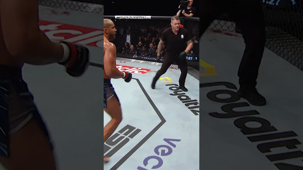 Ciryl Gane's TKO of Sergey Spivak!