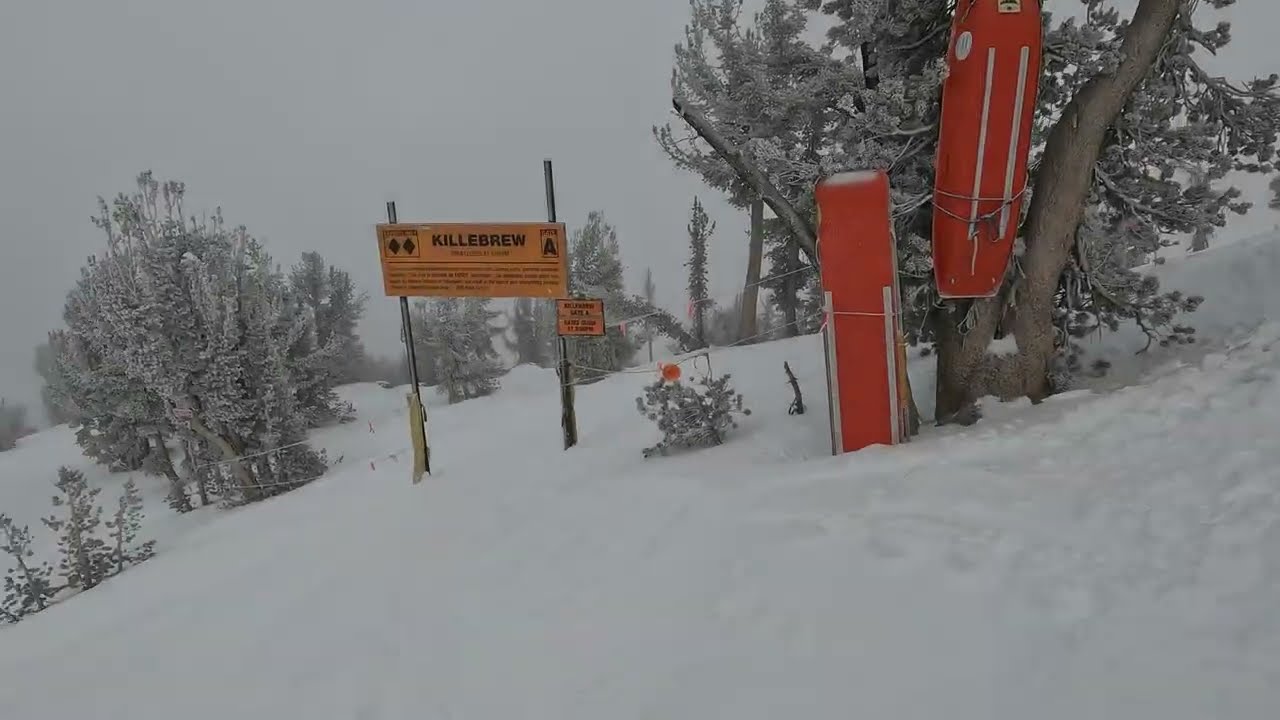 Killerbrew Canyon - Stateline Shute ~ Sweetwater @ Heavenly (2022/12/29)