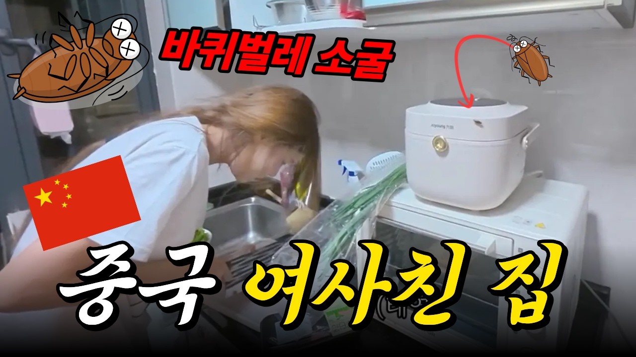 주방에 바퀴벌레 키우는 중국 여사친과 동거 몰아보기