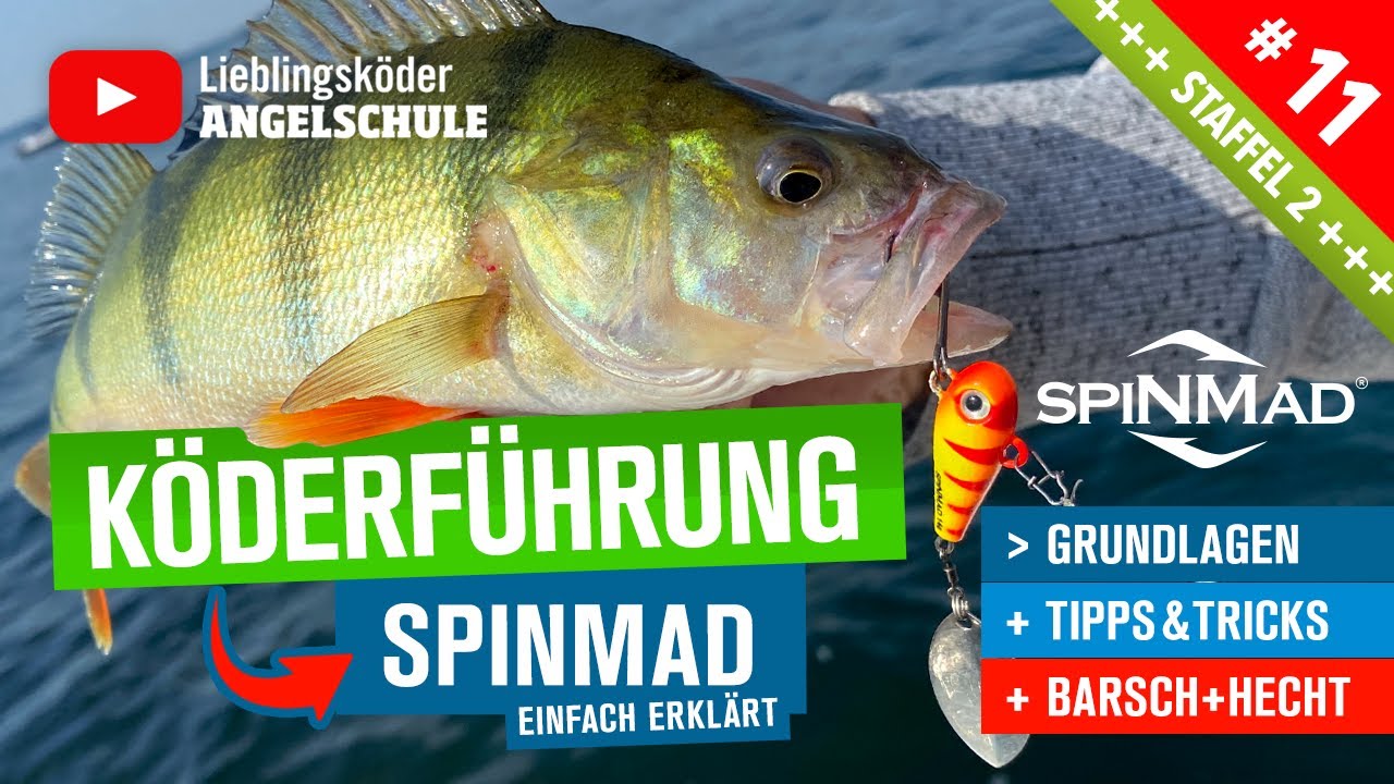 SpinMad K&ouml;derf&uuml;hrung f&uuml;r Barsch & Hecht &ndash; So f&auml;ngst du MEHR Raubfische! 🐟🔥