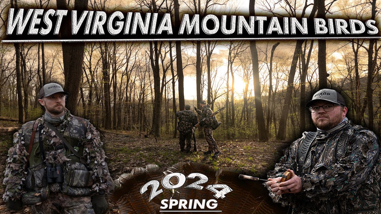 WEST VIRGINIA MOUNTAIN GOBBLER DOWN THE BARREL!!