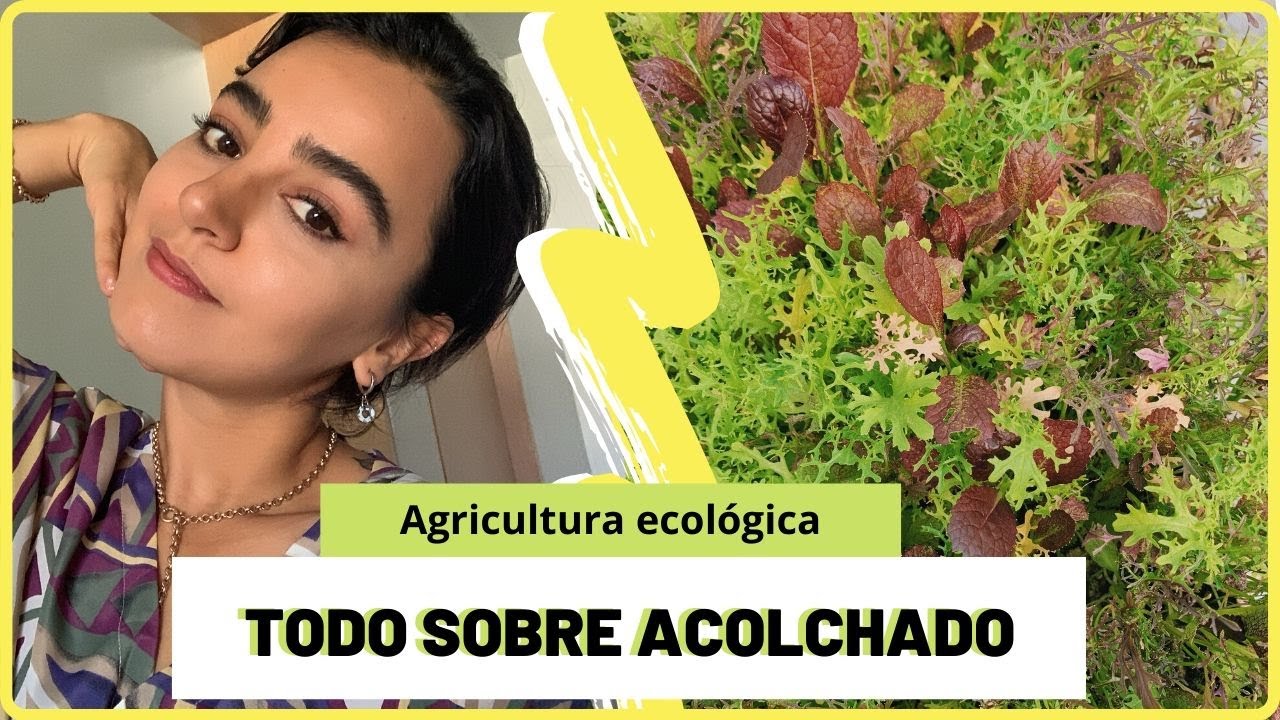 Todo sobre acolchados I AGRICULTURA ECOL&Oacute;GICA