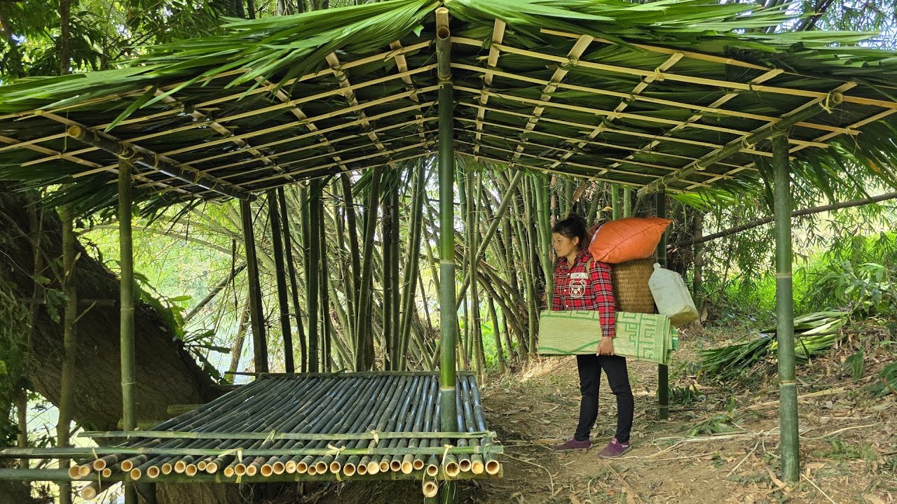 The young girl decided to build a bamboo hut on the riverbank as a temporary shelter.