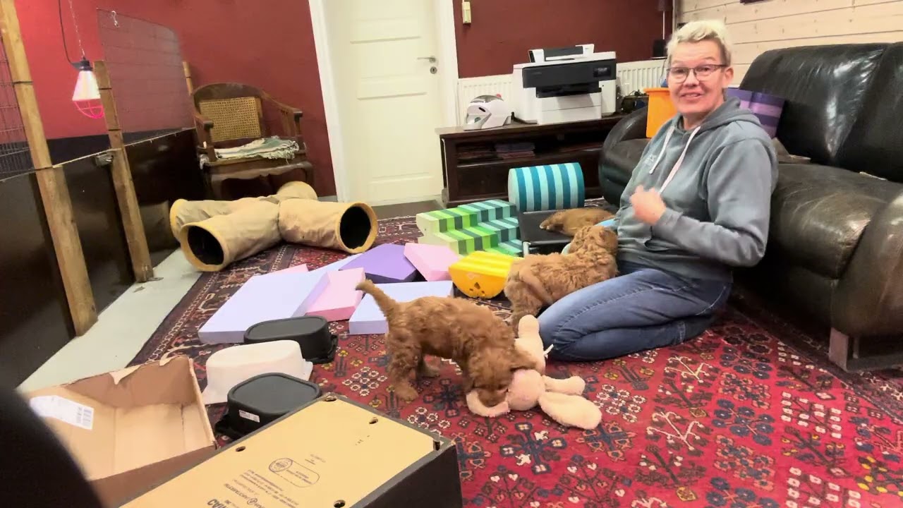 Sandy blå, lilla og orange 1.12.25