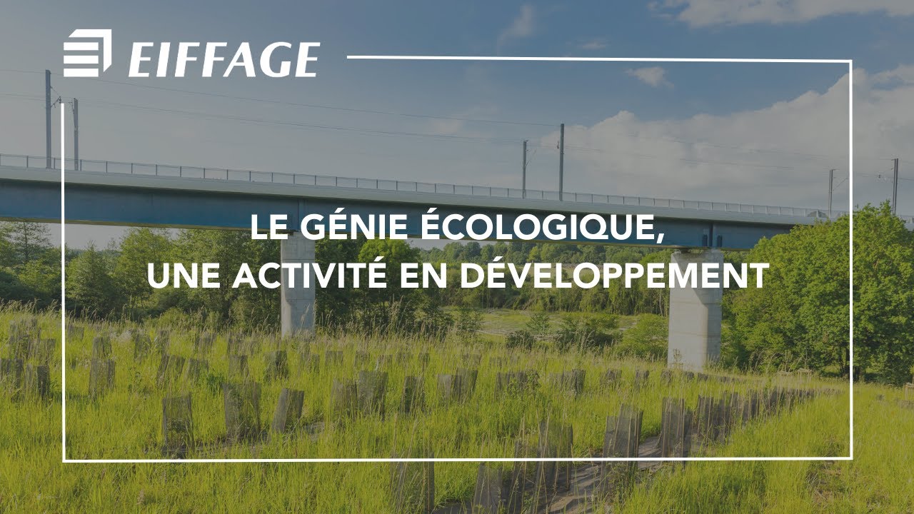 Le génie écologique, une activité en développement